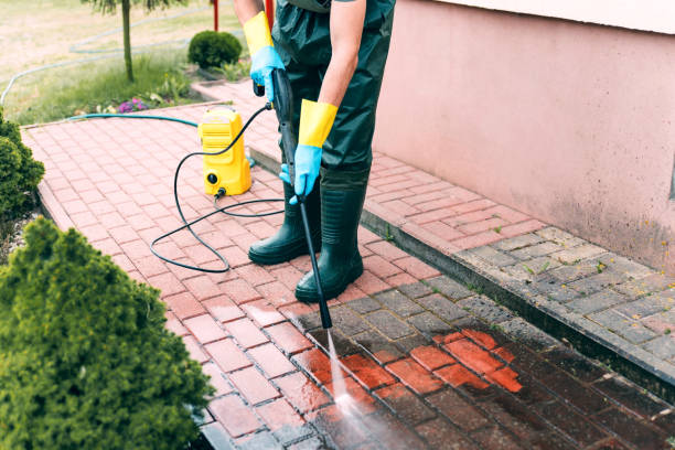 Best Soft Washing for Delicate Surfaces in Nederland, CO